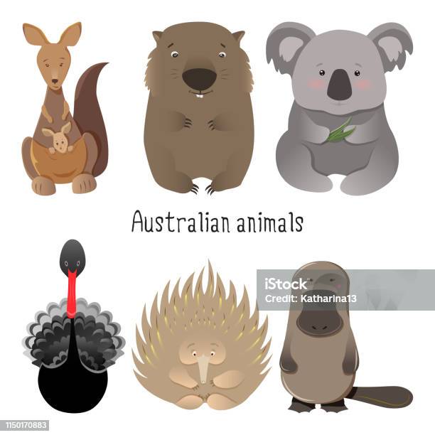 Australian Native Animals Cartoon Illustration Set Collection Stock Illustration - Download Image Now