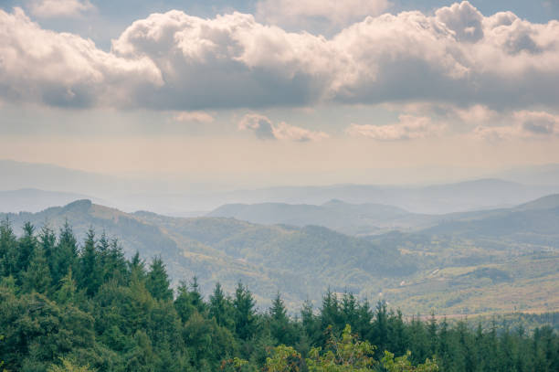 istock Picturesque view of overcast sky and pine tree mountain forest covered with mist 1150171027