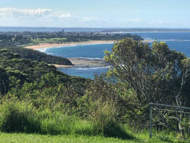 istock Crackneck lookout nsw 1150181654