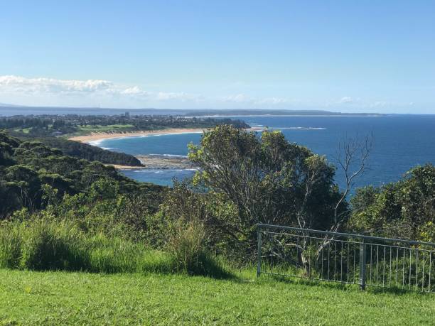 istock Crackneck lookout  nsw 1150183588