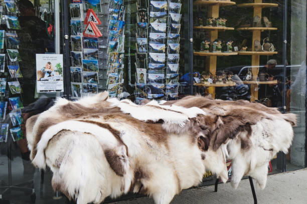 loja da lembrança em trollstigen, noruega - more objects - fotografias e filmes do acervo