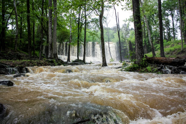 Raging creek with waterfall stock photo