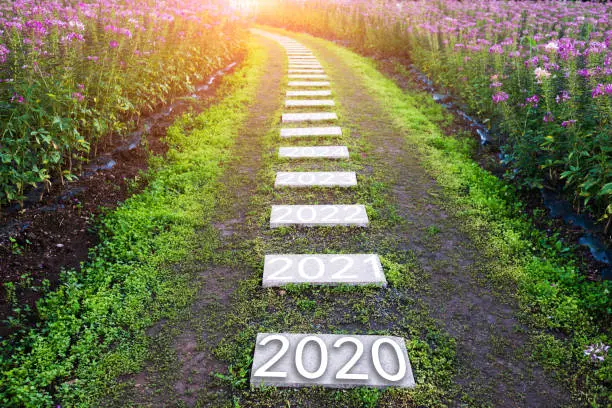 Number of 2020 to 2024 on stone pathway.