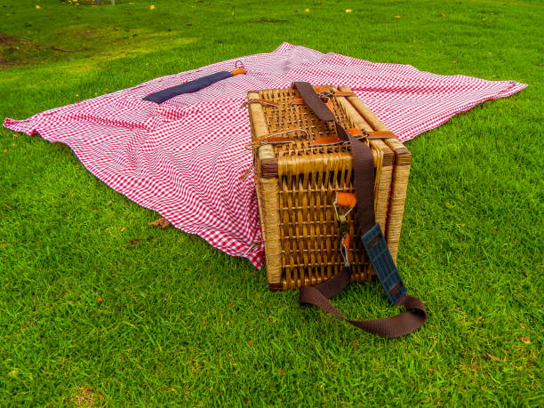 istock Checkered fabric and basket on the grass at a picnic 1150192327