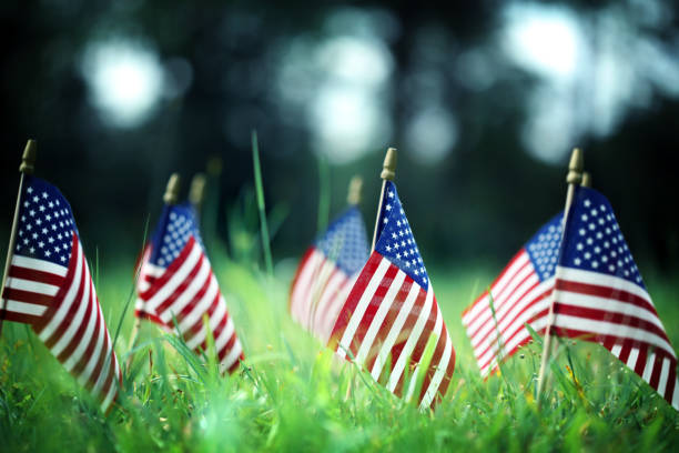 istock Group of American flags in green grass 1150193023