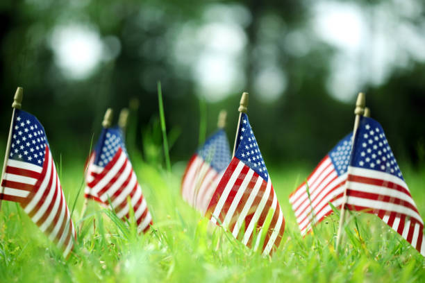 istock Group of American flags in green grass 1150193031