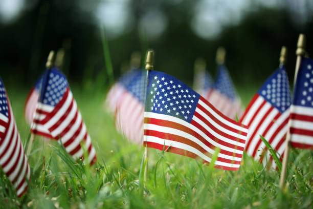 istock Group of American flags in green grass 1150193036
