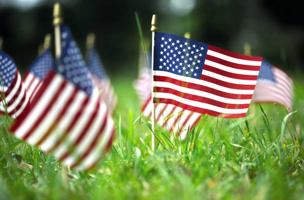 istock Group of American flags in green grass 1150193048