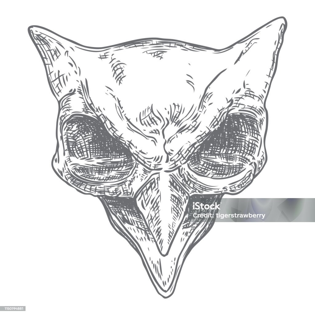 Owl skull isolated on white. Hand drawn art sketch. Bird head. Witchcraft magic, occult attribute decorative element. Vector. Animal Body Part stock vector