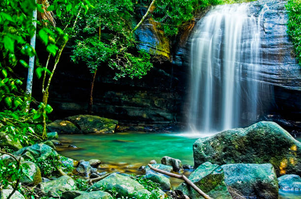 Serenity Falls in Buderim Serenity Fall in the Sunshine Coast hinterland in Queensland sunshine coast australia stock pictures, royalty-free photos & images