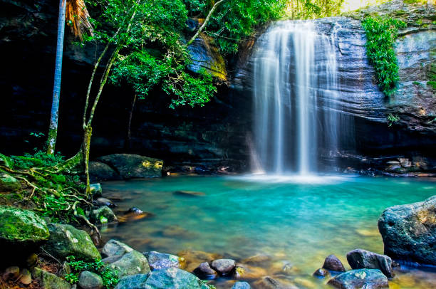 serenity falls in buderim - rainforest waterfall australia forest fotografías e imágenes de stock