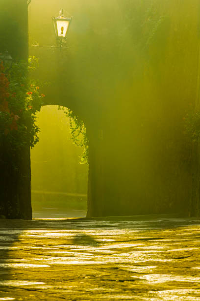 toscana e umbria - street light fog morning country road foto e immagini stock