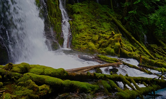Northwest Oregon's Cascade Range.
Willamette National Forest.
Upper Downing Creek.