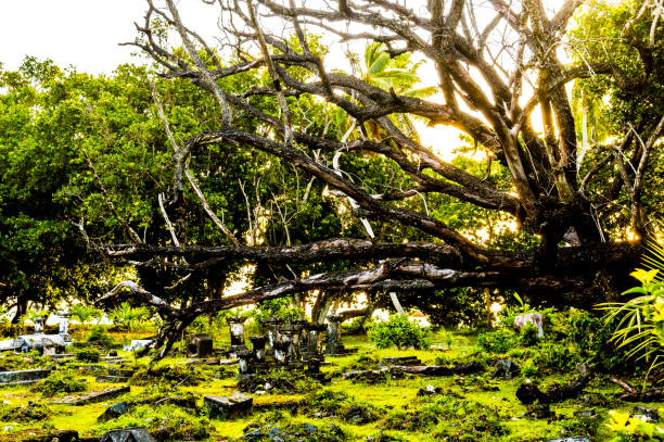 istock chaos in a place of eternal peace 1150203561
