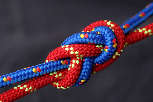 A blue and red rope intertwined Red and blue rope tied together in a figure eight knot. joined at hip stock pictures, royalty-free photos & images