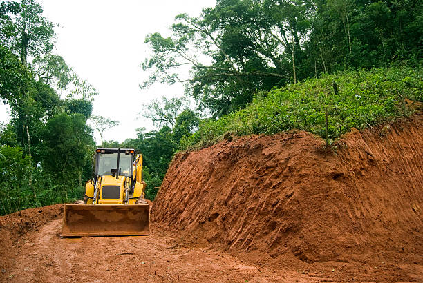 escavadora mecânica - brazilian culture tropical rainforest machine gear - fotografias e filmes do acervo