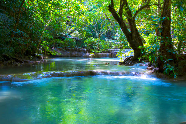 erawan waterfall in green forest is emerald of kanchanaburi province - tree stream forest woods imagens e fotografias de stock