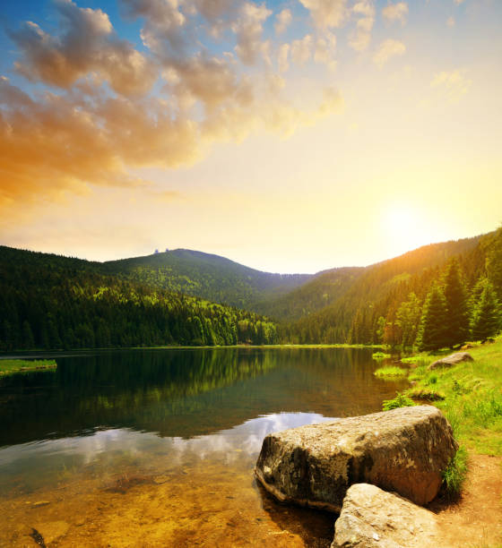 Little Arbersee lake lake, Germany. Kleiner Arbersee lake in the National park Bavarian forest,Germany. Beautiful spring landscape at sunset. bavarian forest stock pictures, royalty-free photos & images