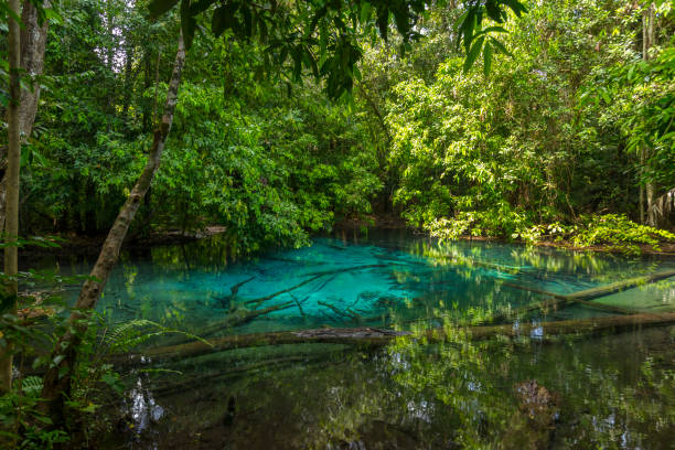 istock Emerald Pool (Sra Morakot) in Krabi province, Thailand. 1150214930