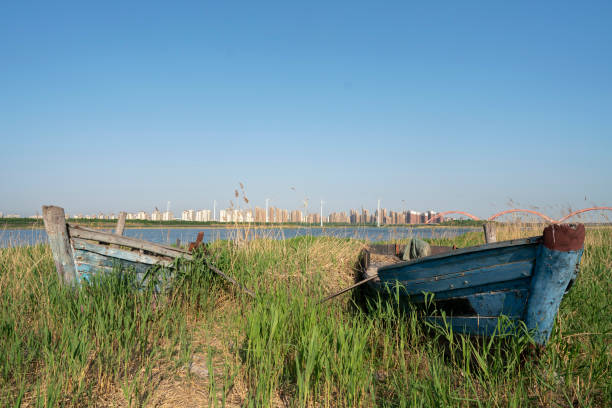 old trawler on riverbank