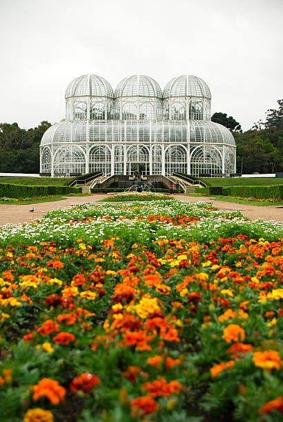 ботанический сад в куритибе/бразилия - palm house стоковые фото и изображения