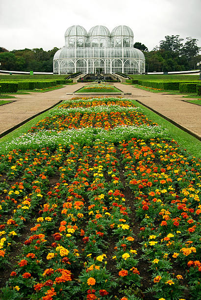 istock Botanical Garden Curitiba/Brazil 115021661