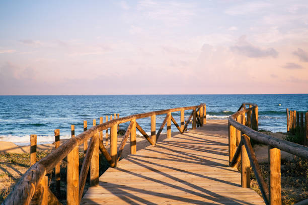 istock wooden access to the beach on  sand dunes 1150218555