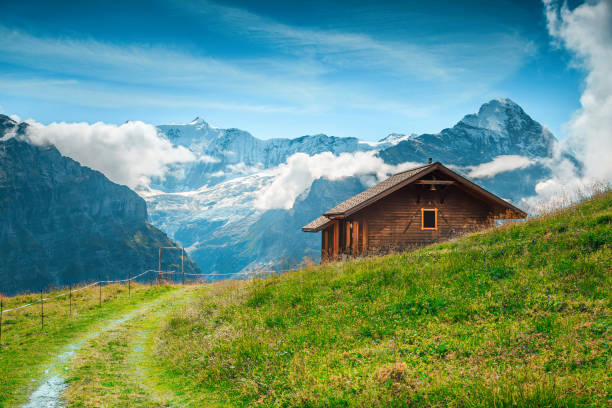 almweide mit schneebedeckten bergen im hintergrund, grindelwald, schweiz - shack european alps switzerland cabin stock-fotos und bilder