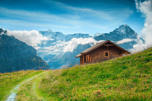 pascolo estivo alpino con montagne innevate sullo sfondo, grindelwald, svizzera - mountain cabin european alps switzerland foto e immagini stock