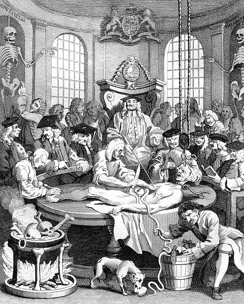 18th Century Political Cartoon Depicting Gruesome Autopsy By Hogarth Stock  Illustration - Download Image Now - iStock