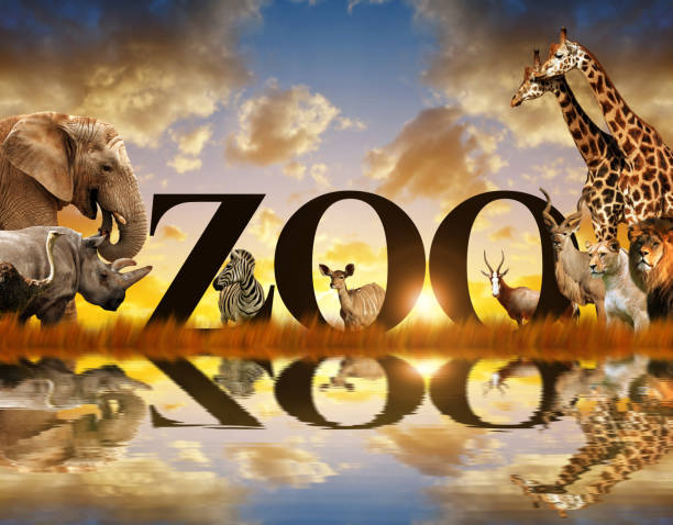 istock Word Zoo and African animals. 1150224551