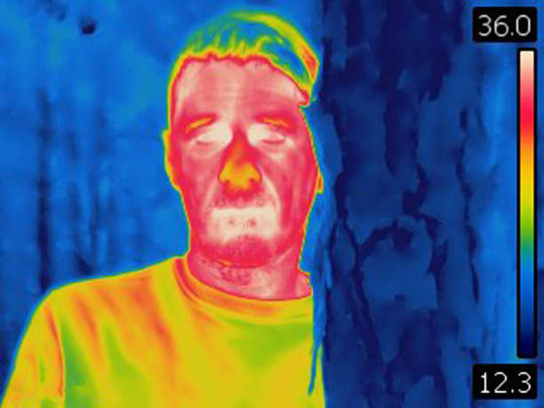 istock Thermal image of man hiding behind tree in the woods. 1150226329
