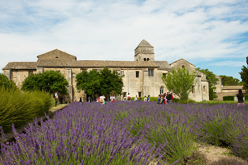 Saint-Rémy de Provence, France-06 18 2015:People enjoying taking picture in the lavender field in front of the Monastery of Saint-Paul de Mausole, a former psychiatric center where the painter Vincent van Gogh was treated in 1889–1890. The Monastery of Saint-Paul de Mausole is located near Saint-Rémy in the Provence region of southern France.