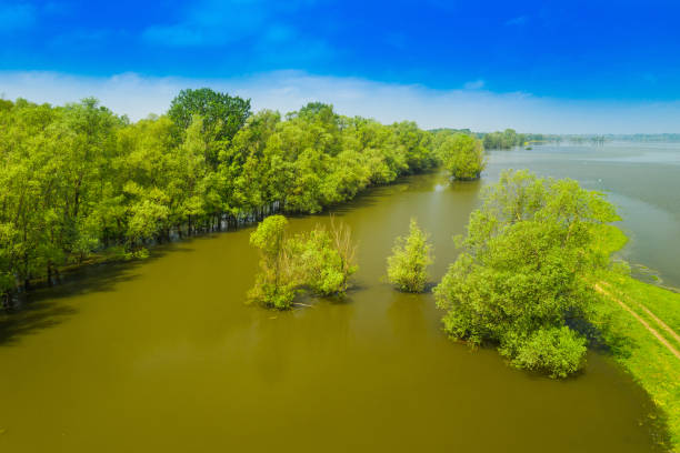 istock Nature park Lonjsko polje, Croatia, from air 1150227092
