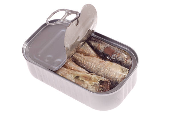 istock can of sardines 115022818