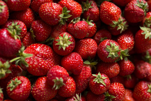 istock Strawberries in a crate close-up 1150230869