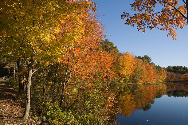 istock City Mills Pond 115023132