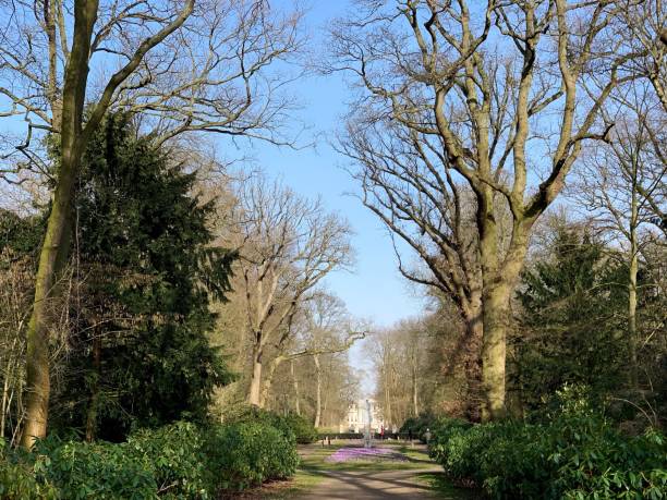 istock Road Amidst Trees And Plants In City 1150231751