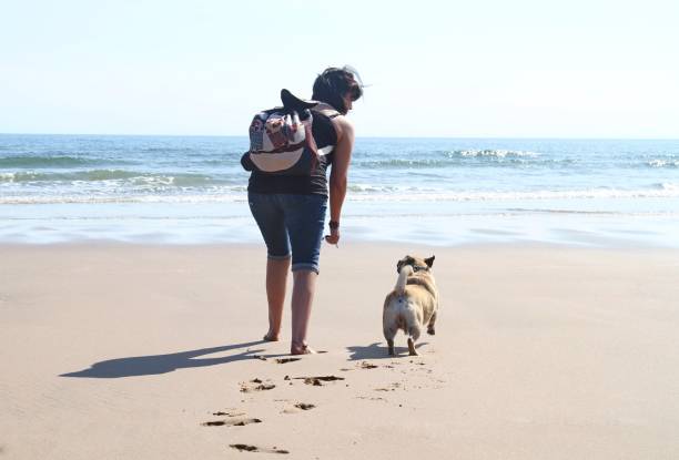 woman and dog on beach - paw print animal track footprint beach imagens e fotografias de stock