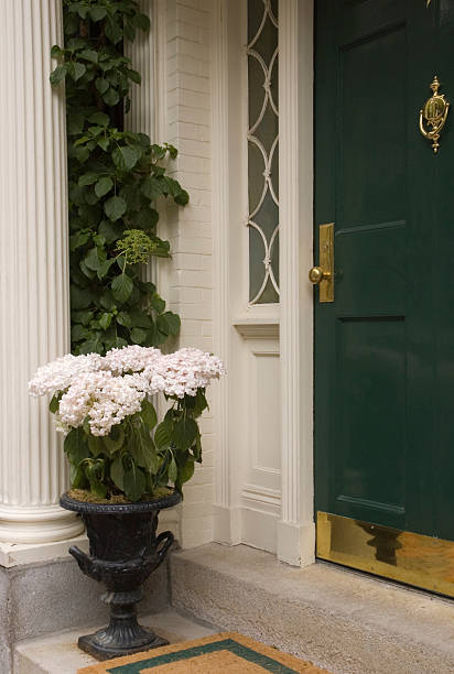istock Elegant Entrance 115023313