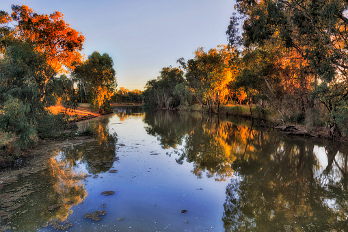 Gwydir river flowing through Moree town surrounded by leave trees at sunrise in warm rising sun light.