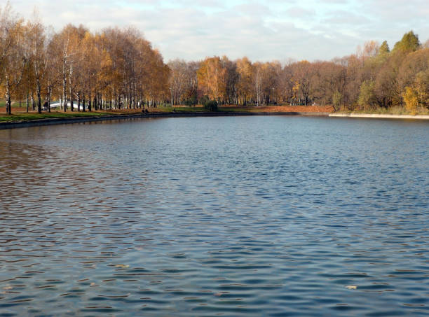 istock autumn in city park 1150240771