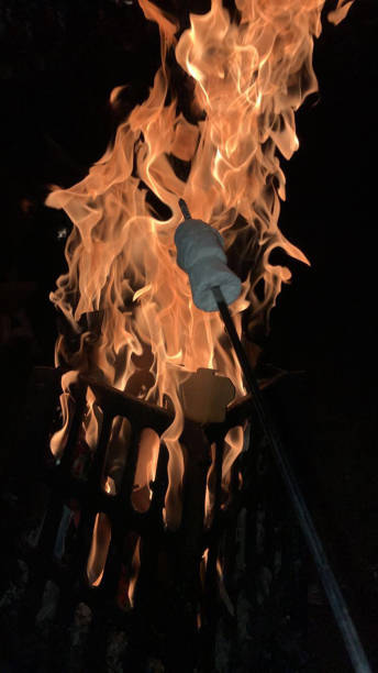 istock Image of toasting marshmallows with bonfire fire / firepit flames, metal fire basket burning wood, firewood, marshmallow sweets toasted on kebab skewer stick for smores, hot coals smoking outdoors fireplace pit, bbq charcoal grill, campfire garden camping 1150240980