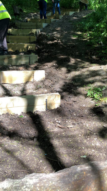 istock Image of workmen with high visibility / high vis jackets men working building shady rustic garden steps up slope in countryside wildlife garden, sloping hillside steps made from timber raised beds filled compacted soil hoggin as hardcore base, sand gravel 1150241043