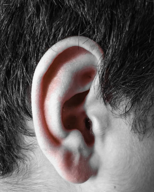 istock Ear and hair 1150245856