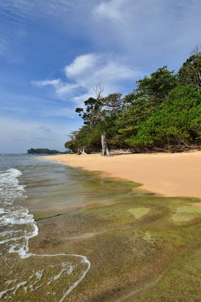 Andaman and Nicobar islands in India The most beautiful, exotic Sitapur beach on Andaman at Neil Island of the Andaman and Nicobar Islands, India andaman sea stock pictures, royalty-free photos & images