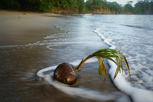 long exposure image of a coconut lying at Punta Leona beach, Costa Rica.