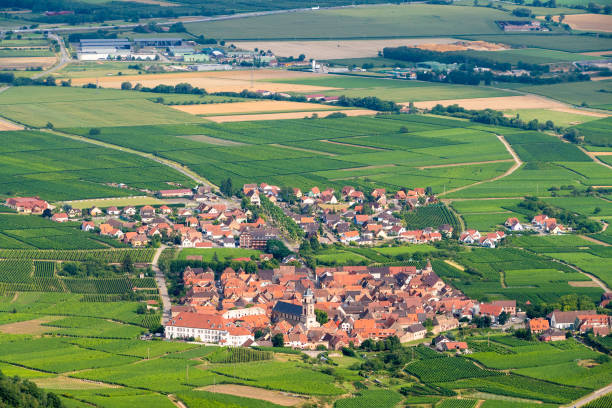 luftaufnahme von haut-koenigsbourg in frankreich - koenigsbourg stock-fotos und bilder