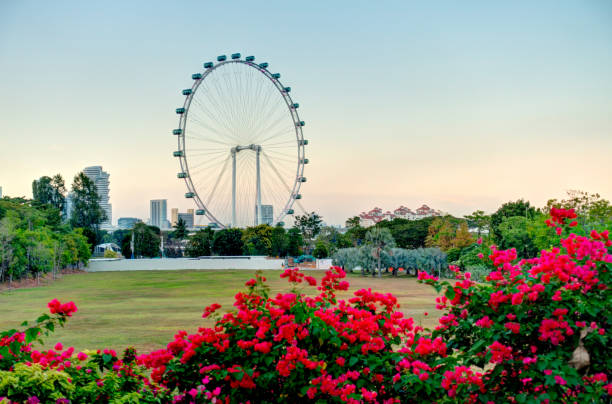 istock Singapore Harbour in sunny weather 1150248249