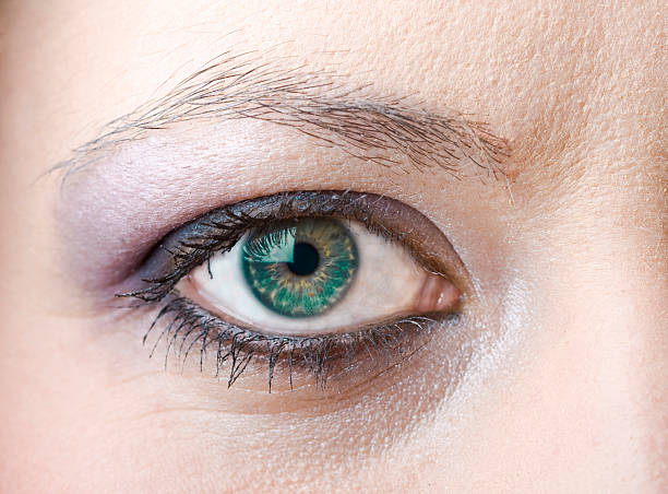 istock Makeup and contact lences 115024881